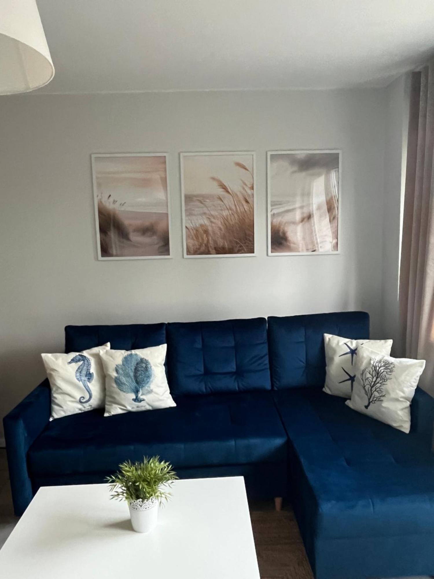 Apartament Kamelia *